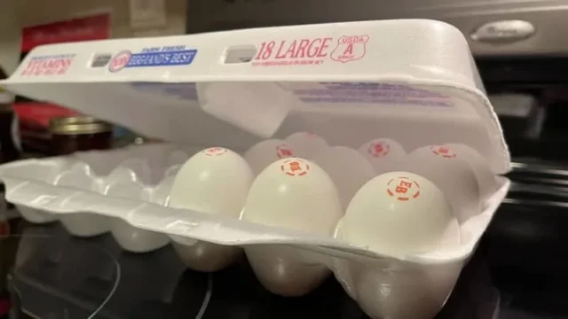 5a1aec0342f22e5de54333ddc0245d8a